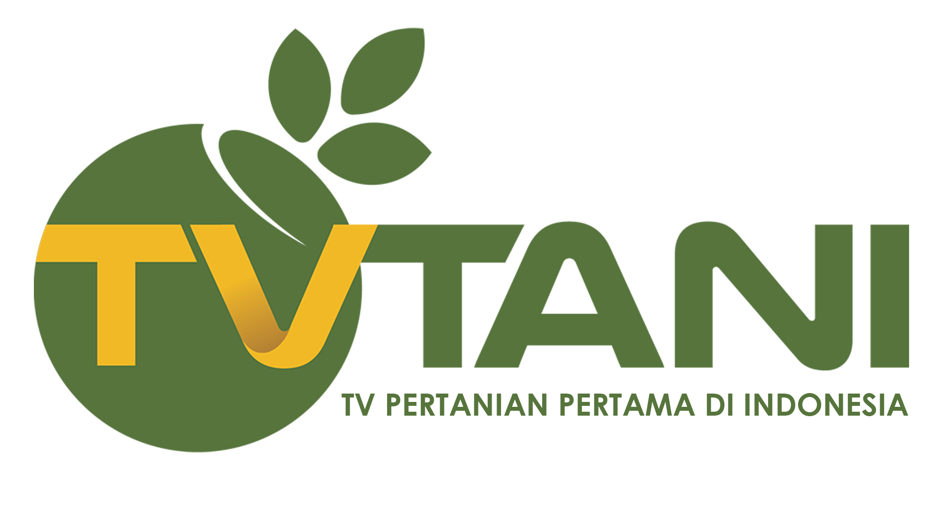 TV Tani